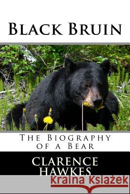 Black Bruin Clarence Hawkes 9781499622904 Createspace - książka