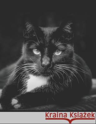 Black Cat Sheet Music Paper: For Composers and Musicians Pagan Essentials 9781798554715 Independently Published - książka