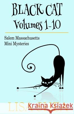 Black Cat Vols. 1-10 - The Salem Massachusetts Mini Mysteries Lisa Shea 9781502862600 Createspace - książka