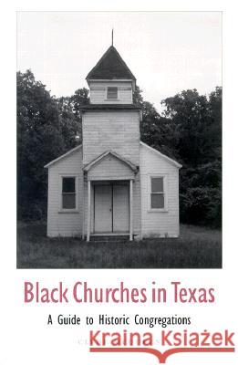 Black Churches in Texas, Volume 85: A Guide to Historic Congregations McQueen, Clyde 9780890969410 Texas A&M University Press - książka