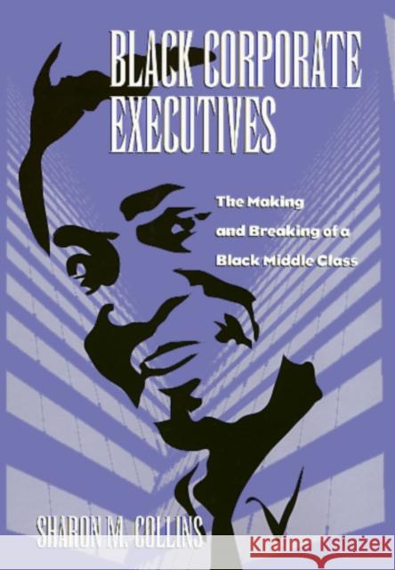 Black Corporate Executives Sharon M. Collins-Lowry 9781566394741 Temple University Press - książka