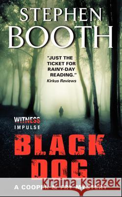 Black Dog Stephen Booth 9780062350428 Witness Impulse - książka