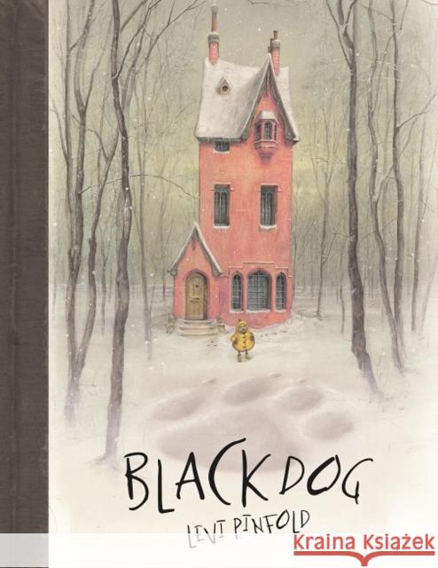 Black Dog Levi Penfold 9781848777484 Templar Publishing - książka