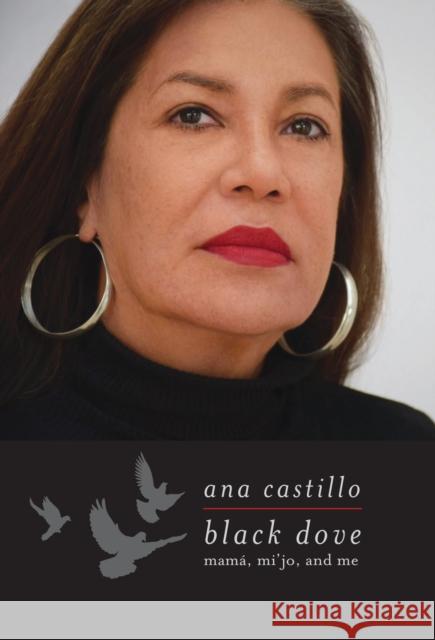 Black Dove: Mama, Mi'jo, and Me Ana Castillo 9781558619234 Feminist Press - książka