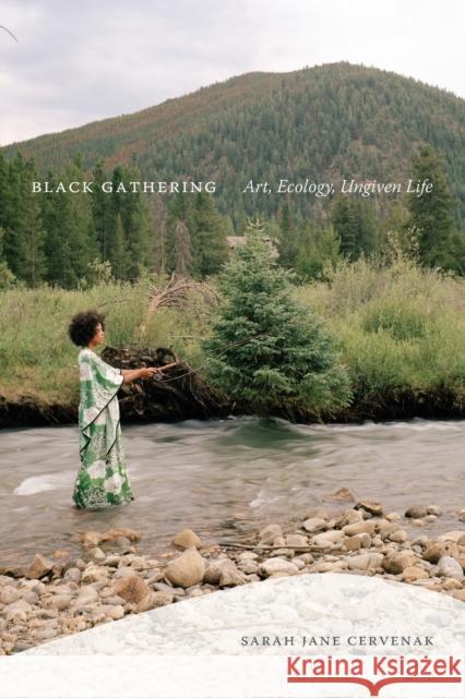 Black Gathering: Art, Ecology, Ungiven Life Sarah Jane Cervenak 9781478014478 Duke University Press - książka