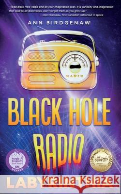 Black Hole Radio - Labyrinthia Ann Birdgenaw E M Roberts  9781959096764 Dartfrog Plus - książka