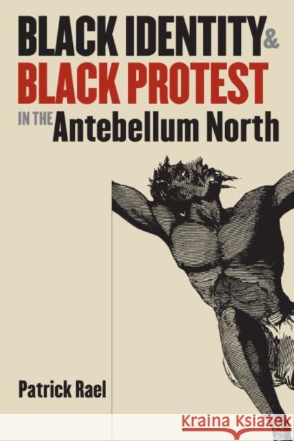 Black Identity and Black Protest in the Antebellum North Patrick Rael 9780807849675 University of North Carolina Press - książka