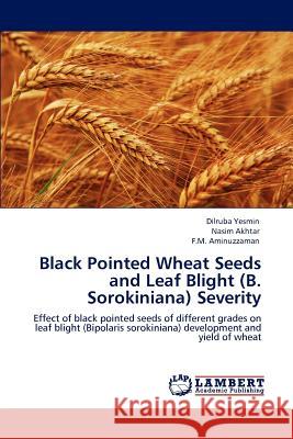 Black Pointed Wheat Seeds and Leaf Blight (B. Sorokiniana) Severity Dilruba Yesmin Nasim Akhtar F. M. Aminuzzaman 9783848436354 LAP Lambert Academic Publishing - książka