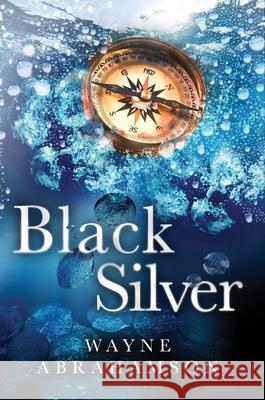 Black Silver Wayne Abrahamson 9781950906543 Indigo River Publishing - książka