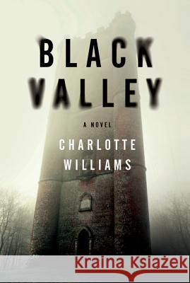 Black Valley Charlotte Williams 9780062371263 Bourbon Street Books - książka