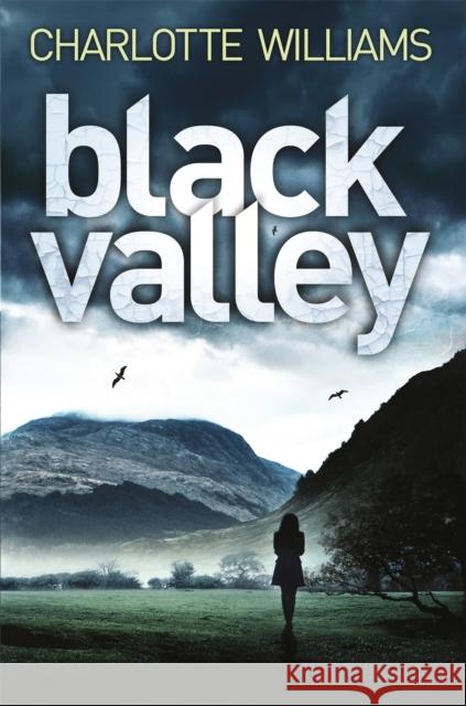 Black Valley Charlotte Williams 9781509891603 MacMillan - książka