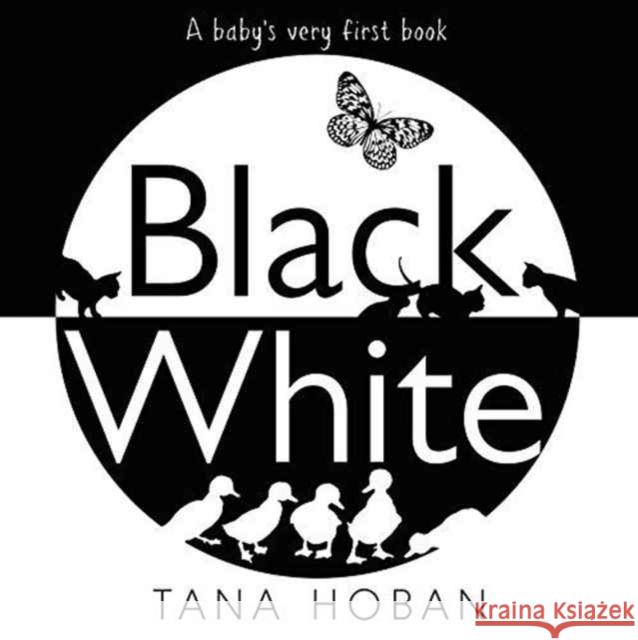 Black White: A High Contrast Book For Newborns Tana Hoban 9780062656902 HarperCollins Publishers Inc - książka