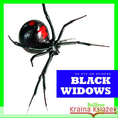 Black Widows Jenna Lee Gleisner 9781624967887 Bullfrog Books - książka