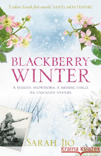 Blackberry Winter: The stunning festive mystery to curl up with over the holidays! Sarah Jio 9781409190776 Orion Publishing Co - książka