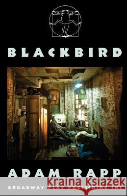 Blackbird Adam Rapp 9780881452495 Broadway Play Publishing Inc - książka