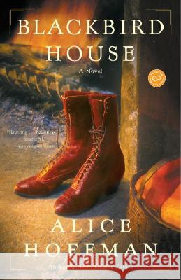 Blackbird House Alice Hoffman 9780345455932 Ballantine Books - książka