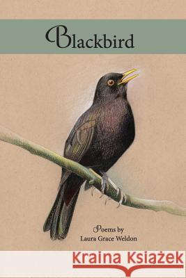 Blackbird: poems Weldon, Laura Grace 9780999432761 Grayson Books - książka
