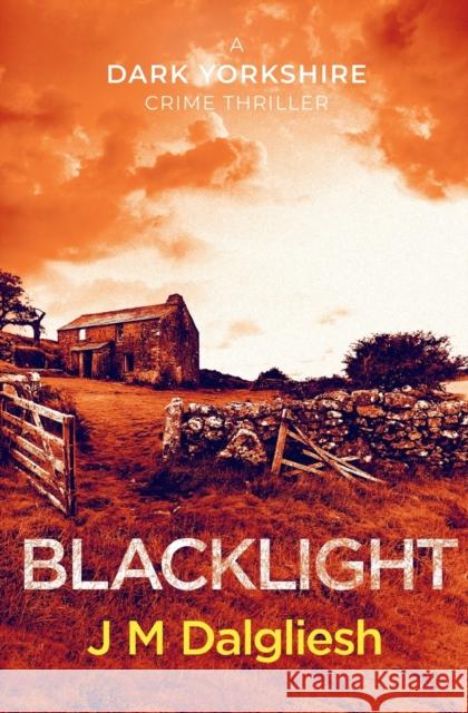 Blacklight J. M. Dalgliesh 9781800806856 Hamilton Press Limited - książka