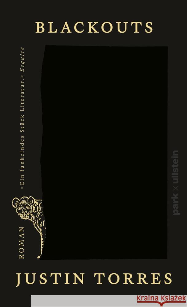 Blackouts Torres, Justin 9783988160232 Park X Ullstein - książka