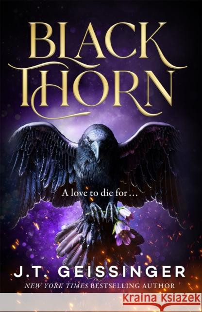 Blackthorn J. T. Geissinger 9781035076017 Pan Macmillan - książka