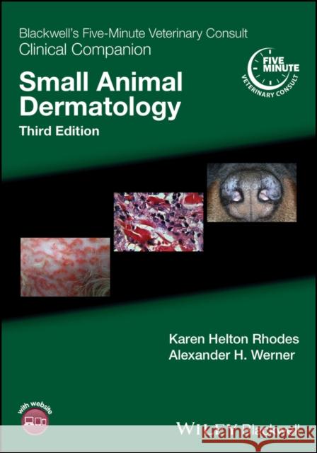 Blackwell's Five-Minute Veterinary Consult Clinical Companion: Small Animal Dermatology Rhodes, Karen Helton 9781119337249 Wiley-Blackwell - książka