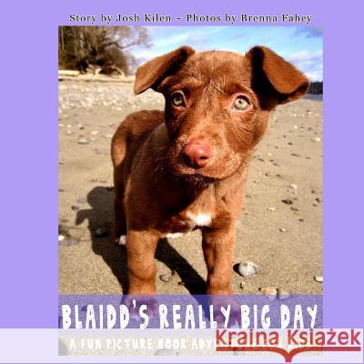 Blaidd's Really Big Day: A Fun Picture Book Adventure Josh Kilen Brenna Fahey 9781483900735 Createspace - książka