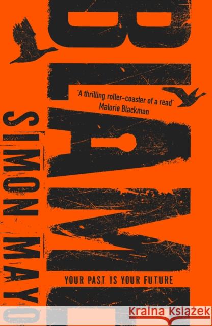 Blame Simon Mayo 9780552569071 Penguin Random House Children's UK - książka