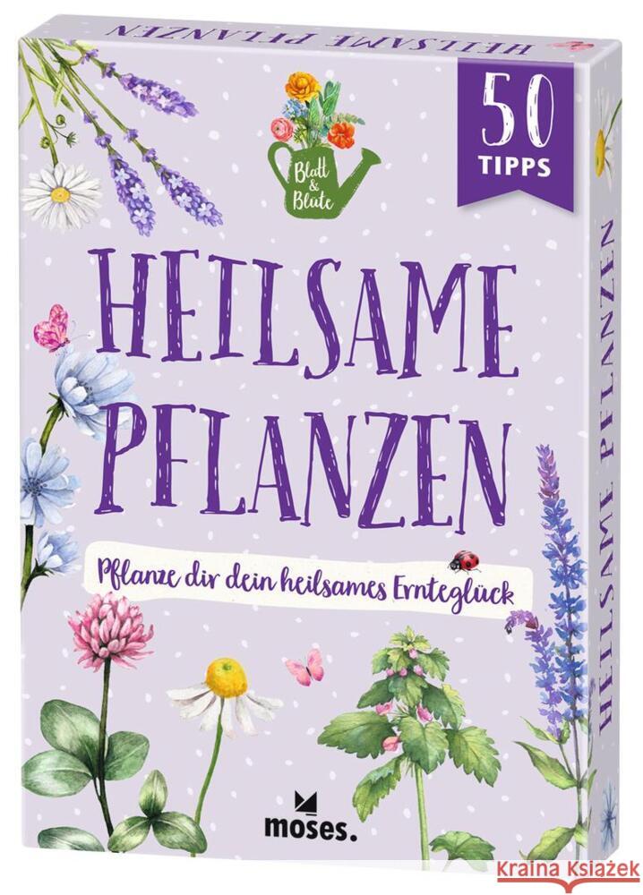 Blatt & Blüte Heilsame Pflanzen Oftring, Bärbel 9783964552440 moses. Verlag - książka