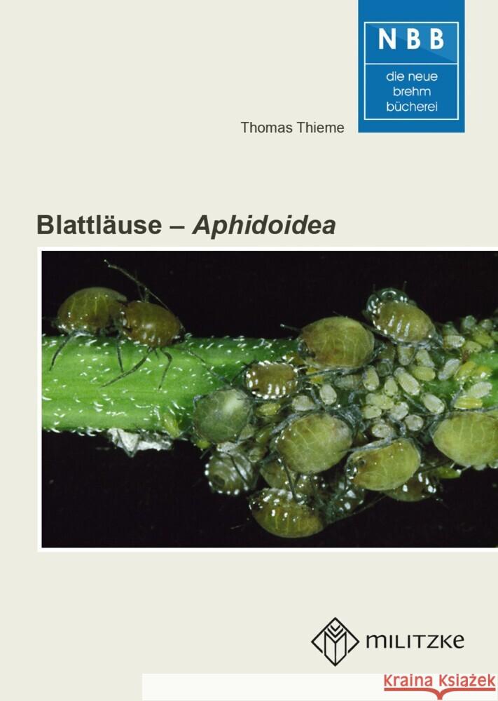 Blattläuse - Aphidoidea Thieme, Thomas 9783894328900 VerlagsKG Wolf - książka