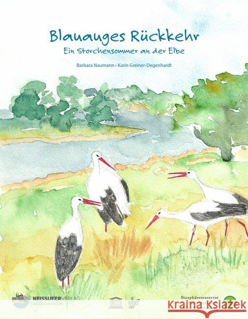 Blauauges Rückkehr : Ein Storchensommer an der Elbe Naumann, Barbara 9783981870091 Neissuferverlag - książka