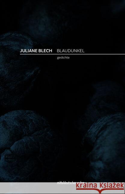 Blaudunkel Blech, Juliane 9783963118821 Mitteldeutscher Verlag - książka