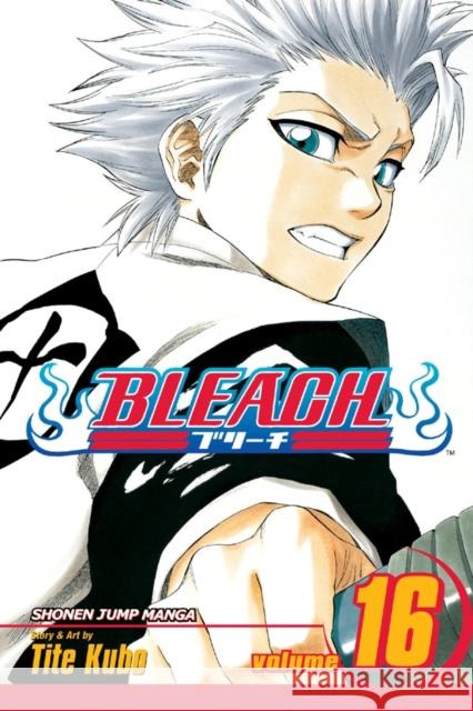 Bleach, Vol. 16: Knight of Wijnruit Tite Kubo 9781421506142  - książka