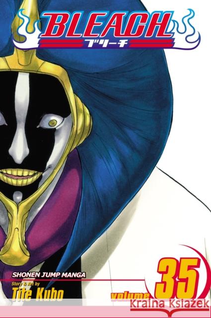 Bleach, Vol. 35: Higher Than the Moon Tite Kubo 9781421533124 Viz Media, Subs. of Shogakukan Inc - książka