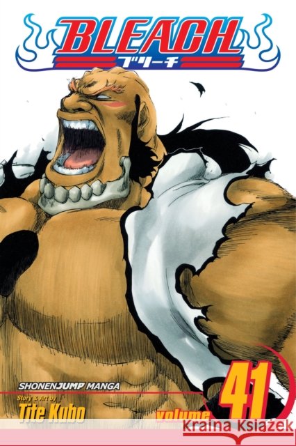 Bleach, Vol. 41 Tite Kubo 9781421541389 Viz Media, Subs. of Shogakukan Inc - książka