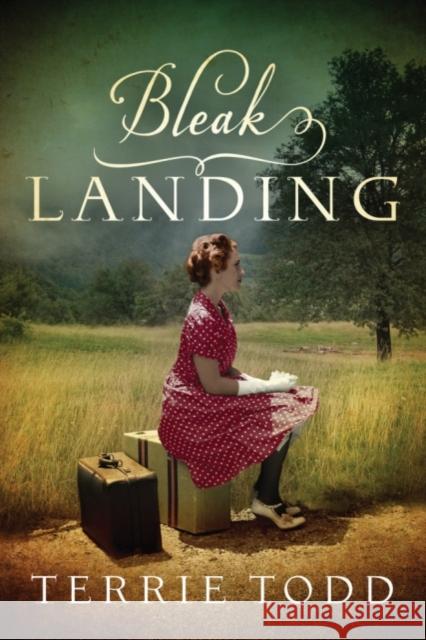 Bleak Landing Terrie Todd 9781542046336 Amazon Publishing - książka