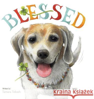 Blessed - A Laboratory Research Dog Tamara Tokash 9781605714851 Shirespress - książka