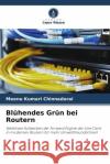 Bl?hendes Gr?n bei Routern Meenu Kumari Chinnadurai 9786207071463 Verlag Unser Wissen