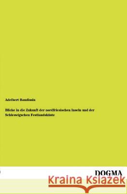 Blicke in Die Zukunft Der Nordfriesischen Inseln Und Der Schleswigschen Festlandskuste Adelbert Baudissin 9783955800772 Dogma - książka