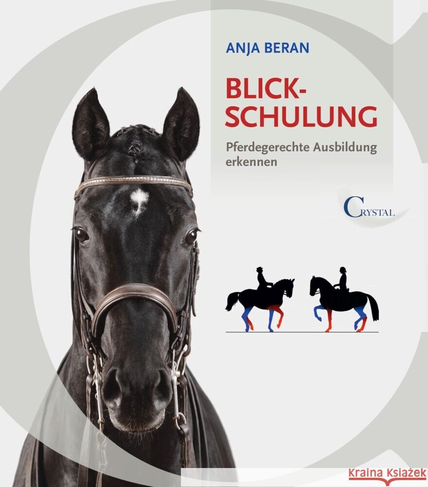Blickschulung Beran, Anja 9783958470255 Crystal Verlag - książka
