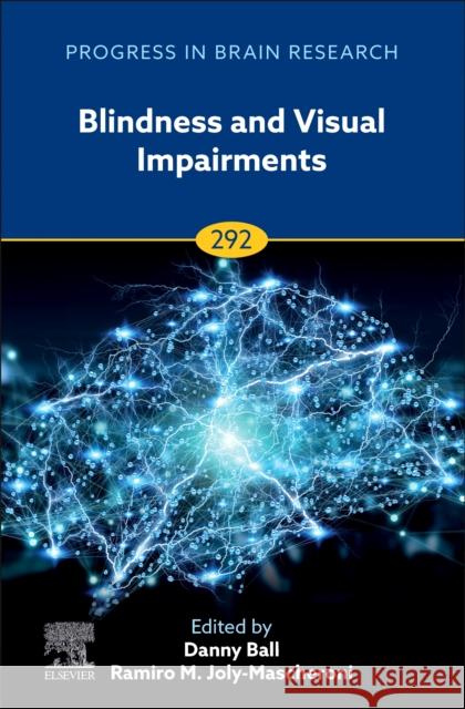 Blindness  9780443235894 Academic Press - książka