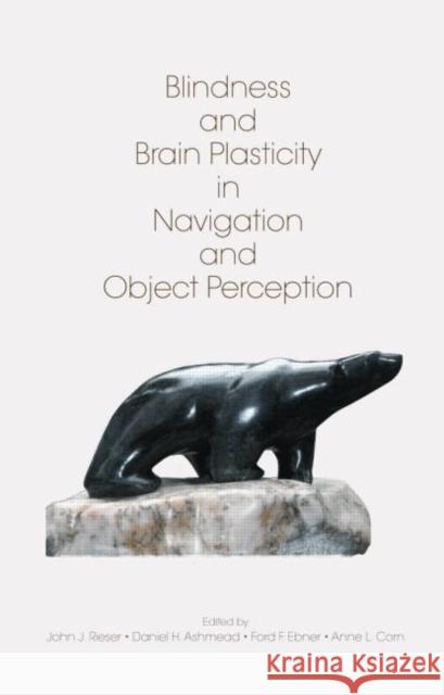 Blindness and Brain Plasticity in Navigation and Object Perception John J. Rieser Daniel H. Ashmead Ford Ebner 9780805855517 Lawrence Erlbaum Associates - książka