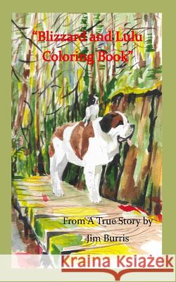 Blizzard and Lulu Coloring Book: Small Size Coloring Book Jim Burris 9781977537812 Createspace Independent Publishing Platform - książka
