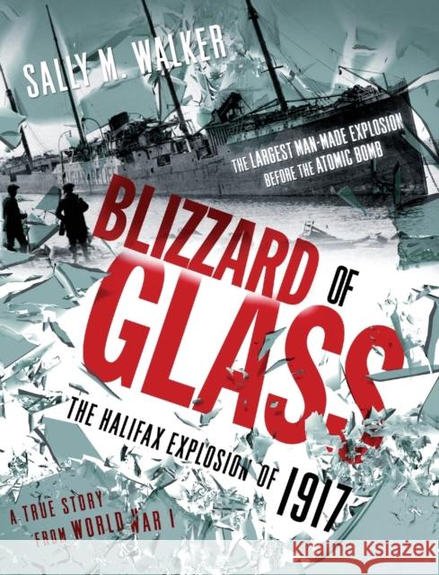 Blizzard of Glass: The Halifax Explosion of 1917 Sally M. Walker 9781250040084 Square Fish - książka