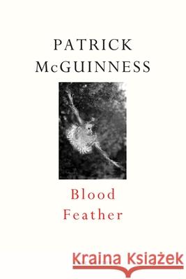 Blood Feather McGuinness, Patrick 9780224098311 Vintage Publishing - książka