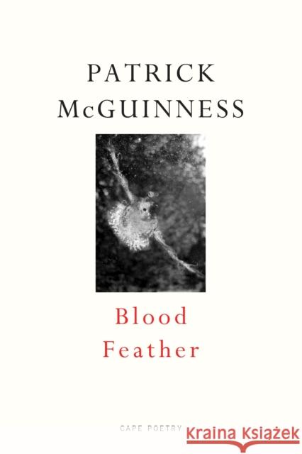Blood Feather: ‘He writes with Proustian elan and Nabokovian delight’ John Banville  9780224098311 Vintage Publishing - książka
