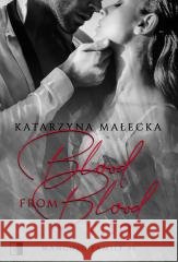 Blood from blood. Vito Katarzyna Małecka 9788381783927 NieZwykłe - książka