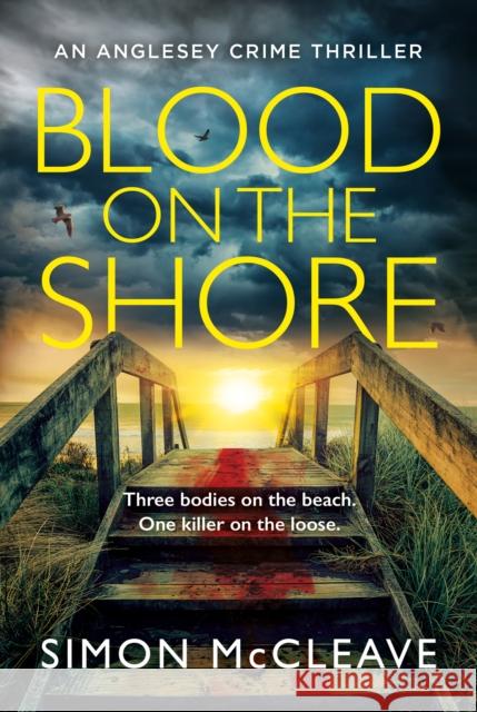 Blood on the Shore McCleave, Simon 9780008524883 HarperCollins Publishers - książka