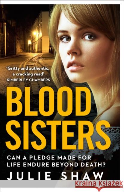 Blood Sisters Shaw, Julie 9780008142797 Tales of the Notorious Hudson Family - książka