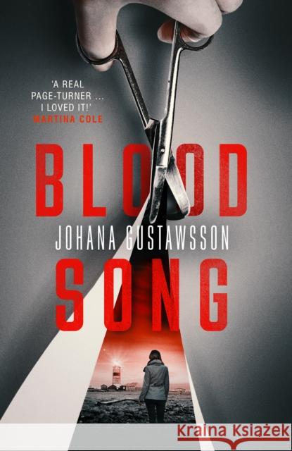 Blood Song Johana Gustawsson, David Warriner 9781912374816 Orenda Books - książka