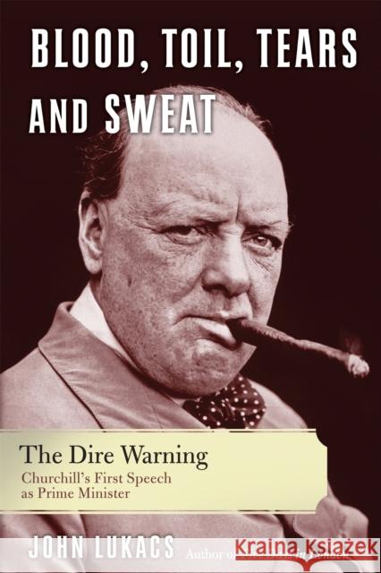 Blood, Toil, Tears, and Sweat: The Dire Warning John R. Lukacs 9780465018208 Basic Books - książka